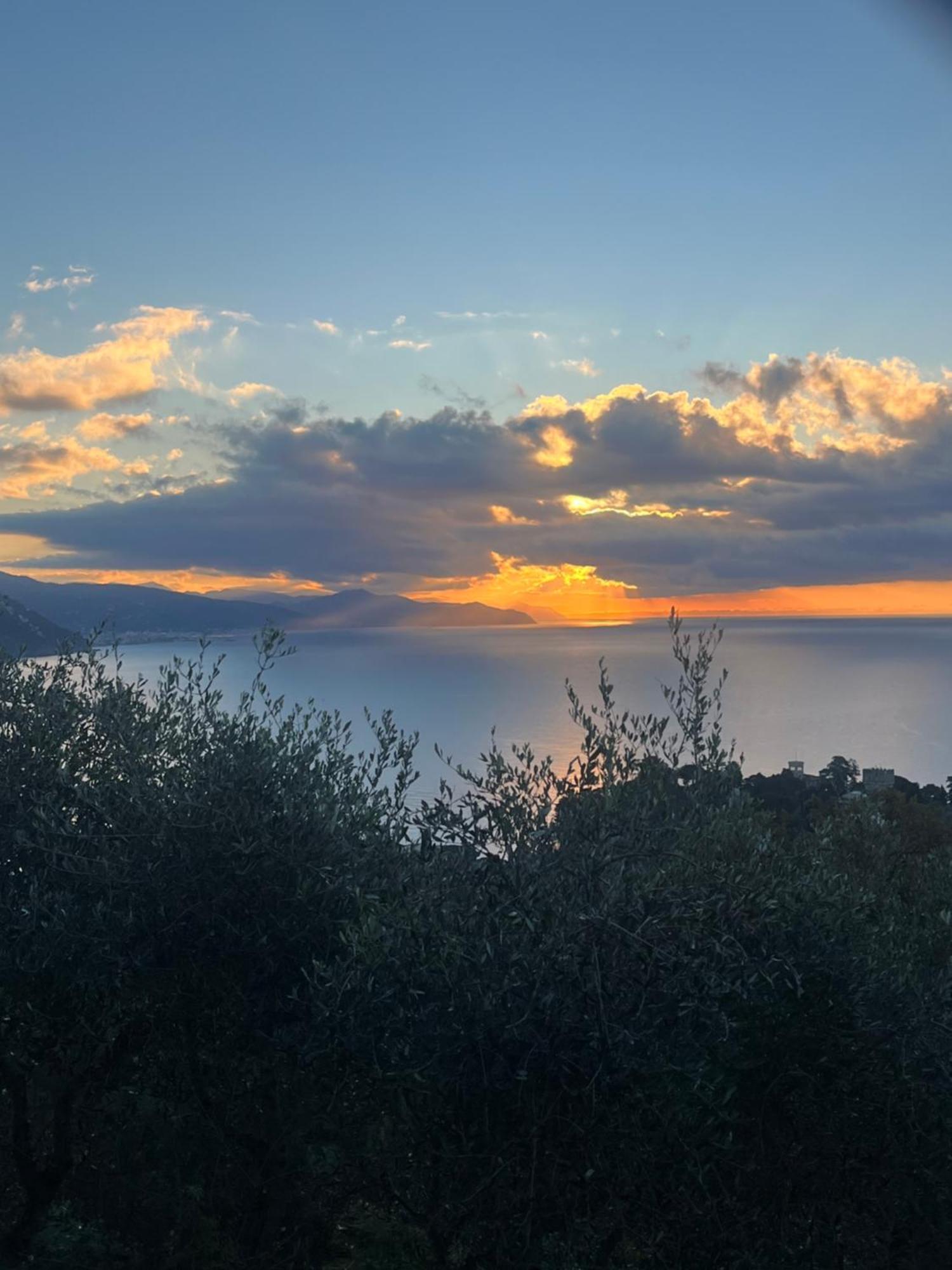 La Conchiglia Bed & Breakfast Camogli Dış mekan fotoğraf