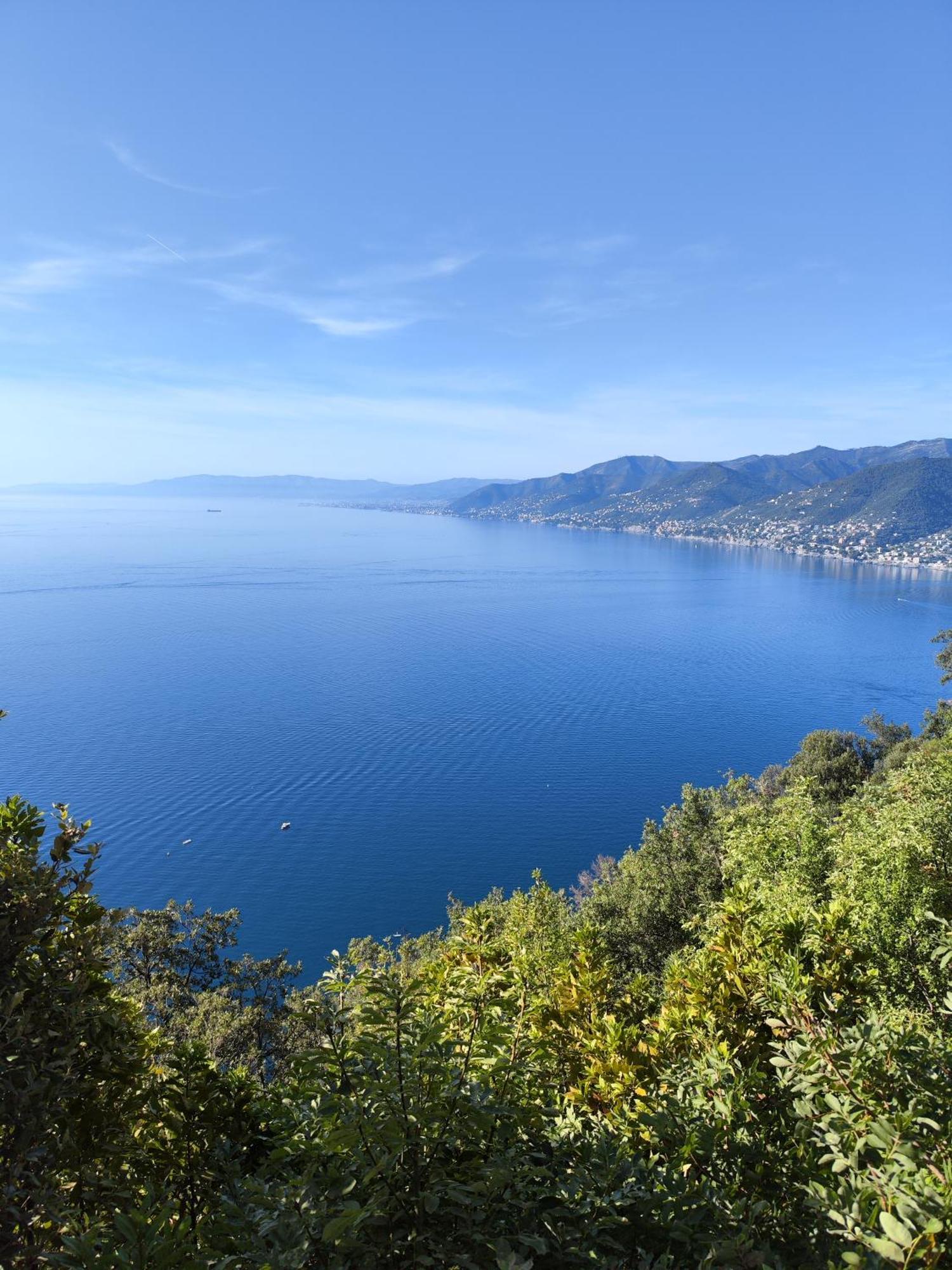 La Conchiglia Bed & Breakfast Camogli Dış mekan fotoğraf