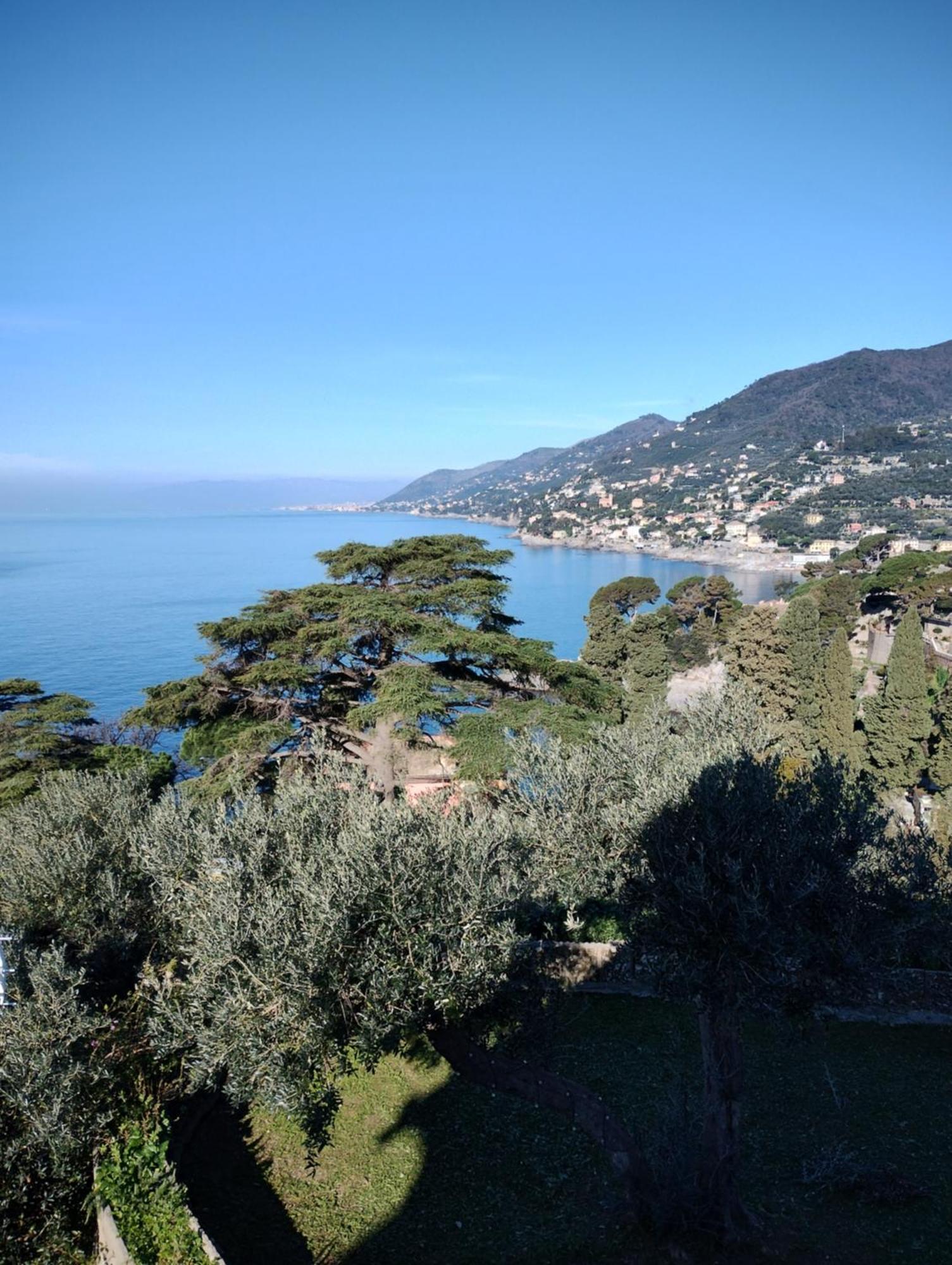 La Conchiglia Bed & Breakfast Camogli Dış mekan fotoğraf